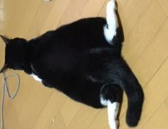 くろ