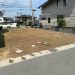 ３号地（2025/9撮影）